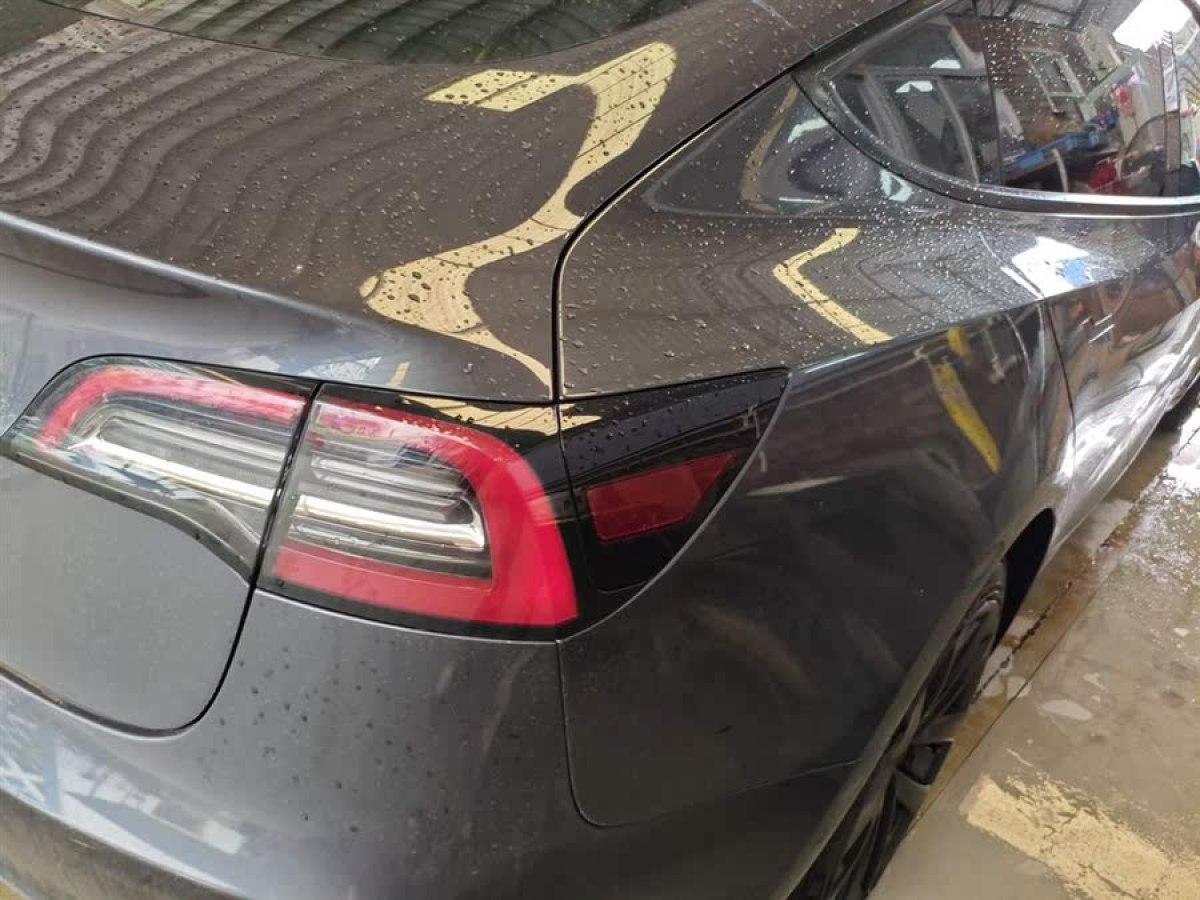 特斯拉 Model 3  2021款 標準續(xù)航后驅(qū)升級版 3D6圖片