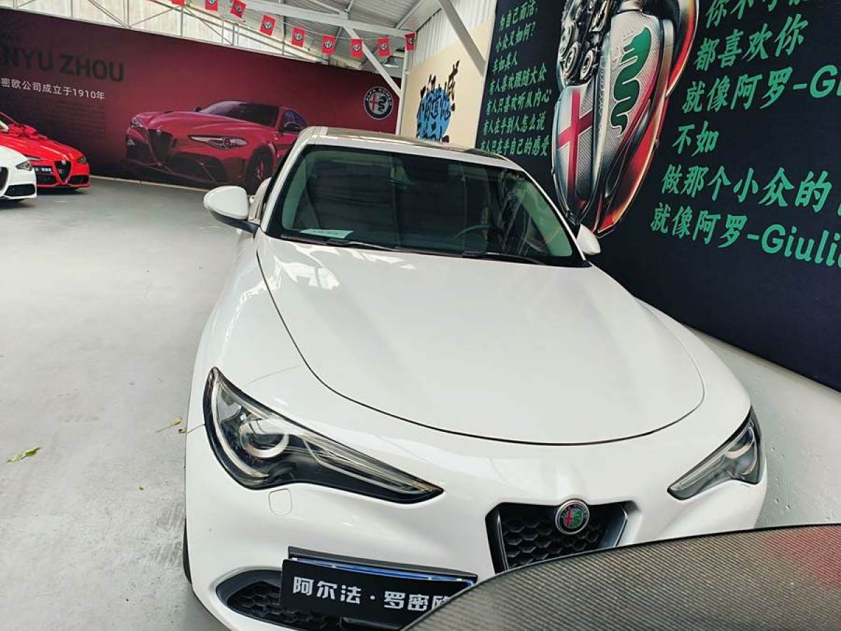 2019年7月阿爾法·羅密歐 Stelvio  2017款 2.0T 200HP 精英版