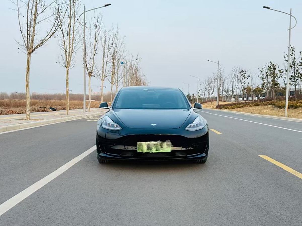 2020年12月特斯拉 Model 3  2020款 改款 標(biāo)準(zhǔn)續(xù)航后驅(qū)升級(jí)版