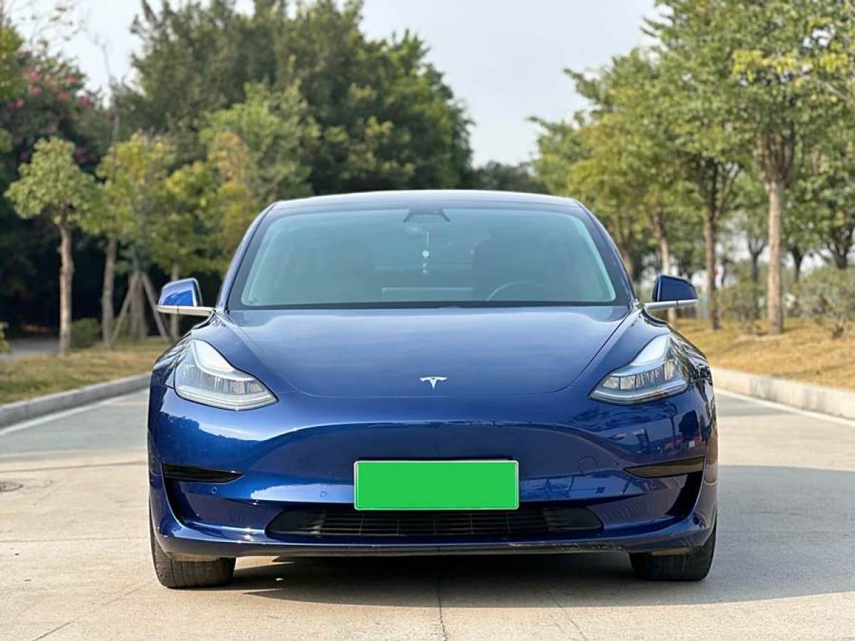 特斯拉 Model 3  2020款 改款 標(biāo)準(zhǔn)續(xù)航后驅(qū)升級版圖片