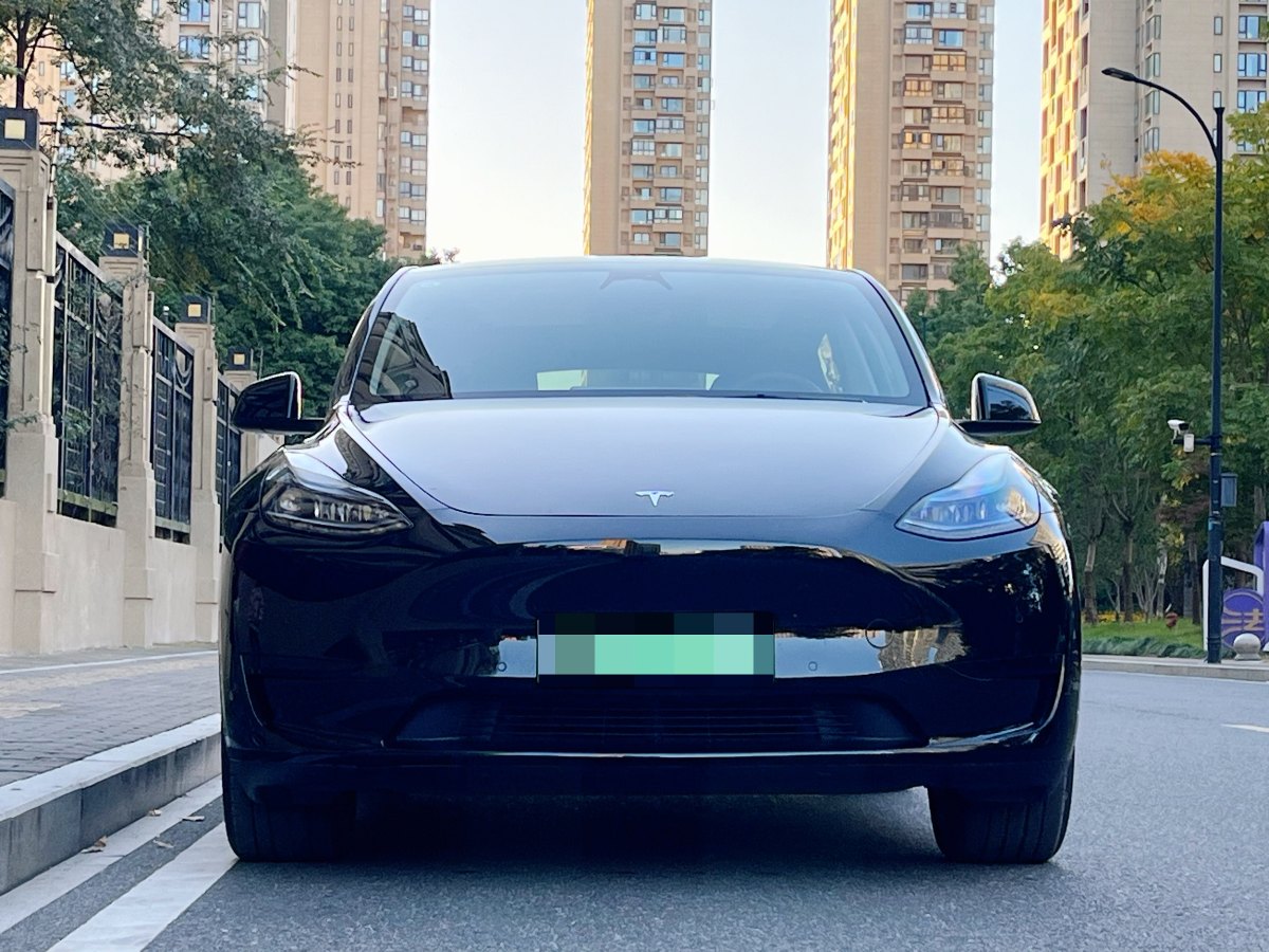 特斯拉 Model 3  2023款 煥新版 后輪驅(qū)動圖片