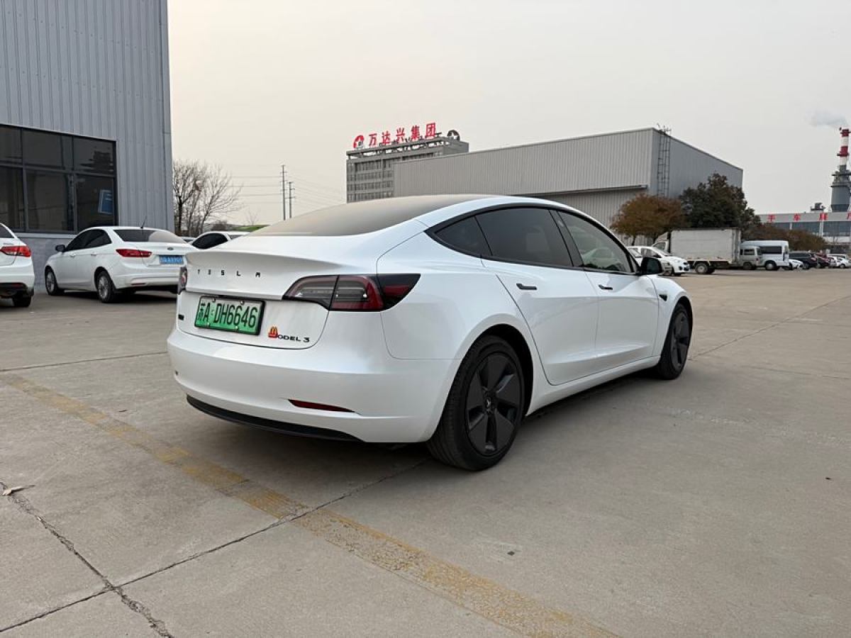 特斯拉 Model 3  2019款 長續(xù)航后驅(qū)版圖片