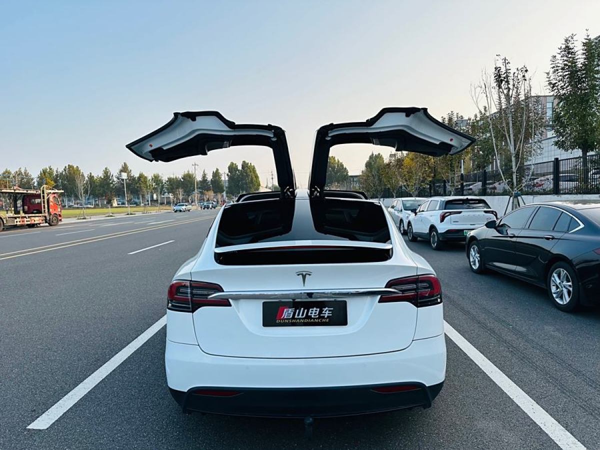 特斯拉 Model X  2019款 長(zhǎng)續(xù)航版圖片