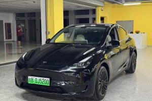 Model Y 特斯拉 改款 后輪驅(qū)動(dòng)版