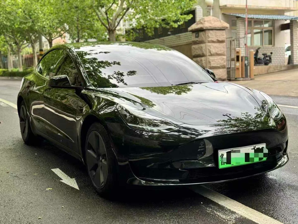 特斯拉 Model 3  2020款 標(biāo)準(zhǔn)續(xù)航后驅(qū)升級版圖片