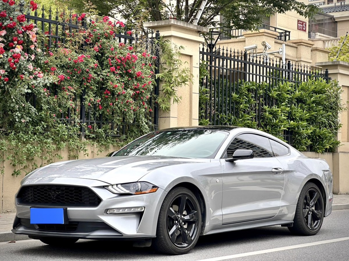 2023年06月福特 Mustang  2022款 2.3L EcoBoost 元光极昼限量版