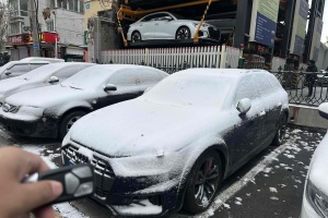 奥迪A4 奥迪 allroad quattro 探索家觅境版