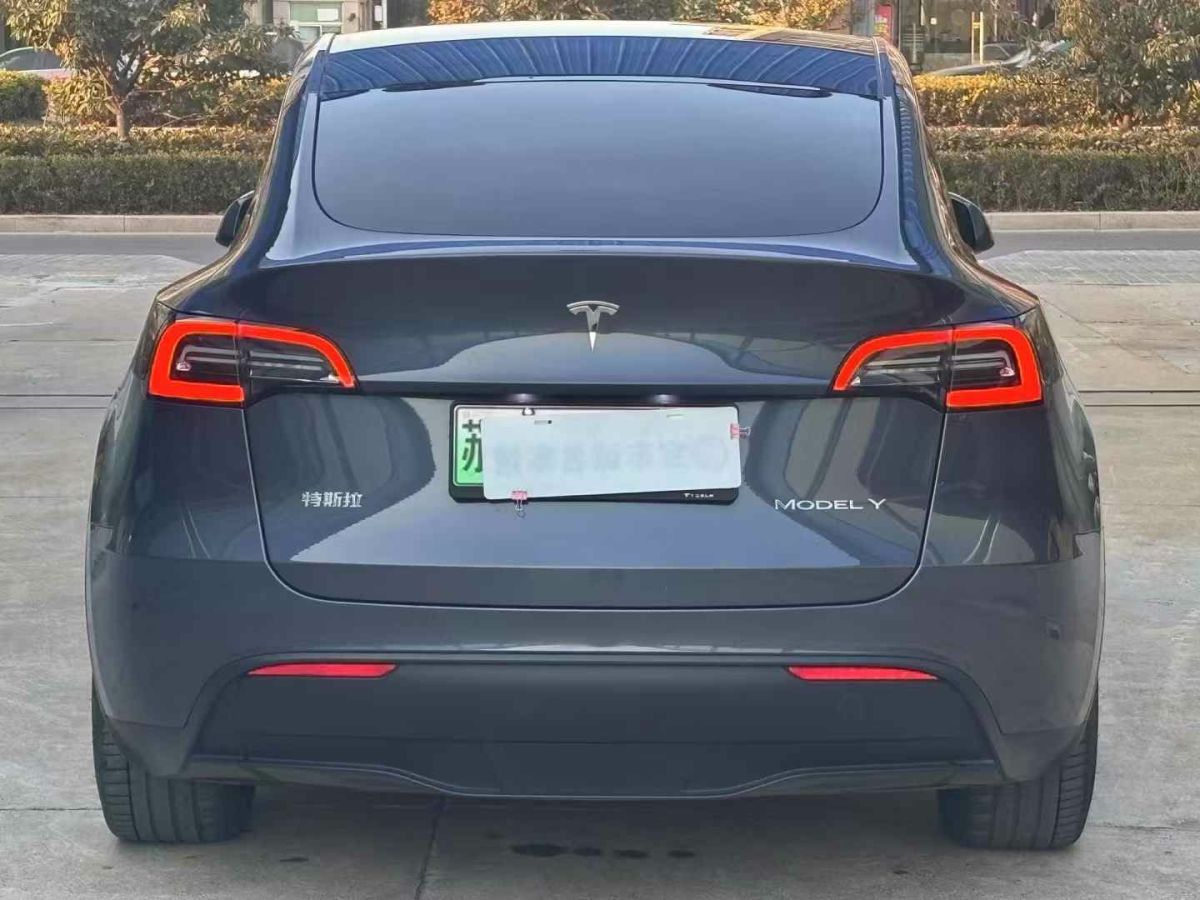 特斯拉 Model 3  2022款 Performance高性能全輪驅(qū)動(dòng)版圖片