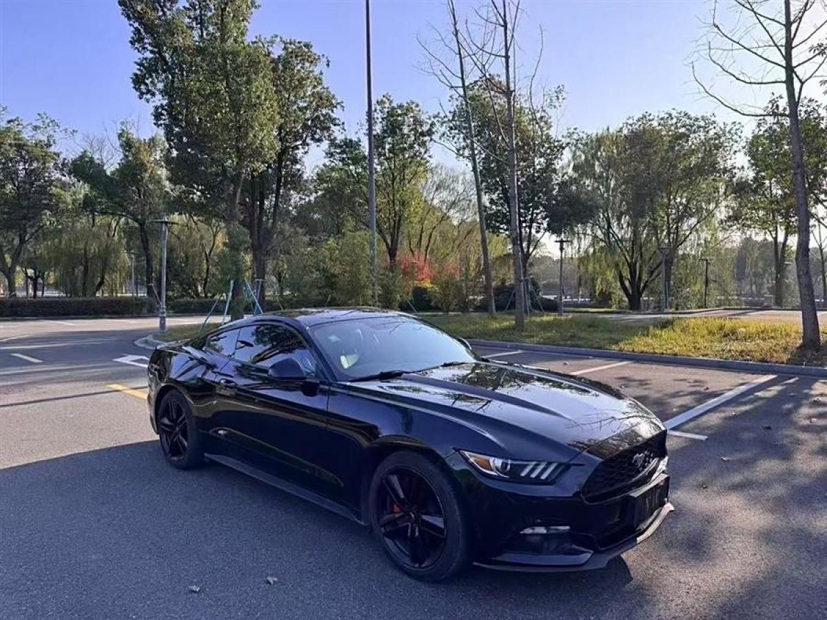 福特 Mustang  2015款 2.3T 性能版圖片