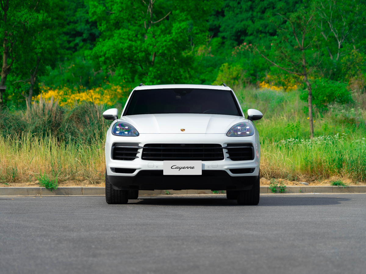 保時捷 Cayenne  2019款 Cayenne 3.0T圖片