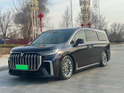 2023年10月 嵐圖 夢(mèng)想家 PHEV 超長(zhǎng)續(xù)航旗艦版圖片