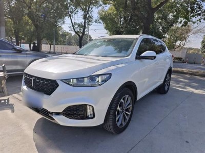 2019年7月 WEY VV5 升級(jí)款 2.0T 兩驅(qū)超豪型 國(guó)VI圖片