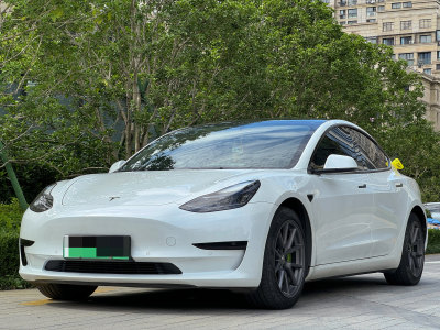 2021年3月 特斯拉 Model 3 标准续航后驱升级版图片