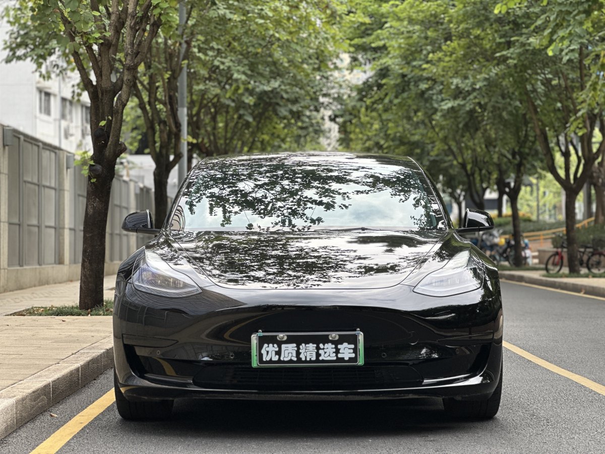 特斯拉 Model Y  2021款 標準續(xù)航后驅(qū)升級版 3D6圖片