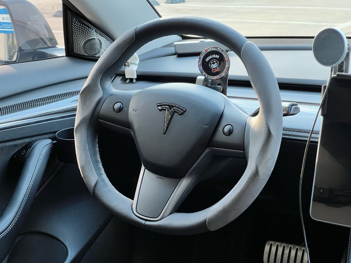 特斯拉 Model 3  2019款 Performance高性能全輪驅(qū)動版圖片