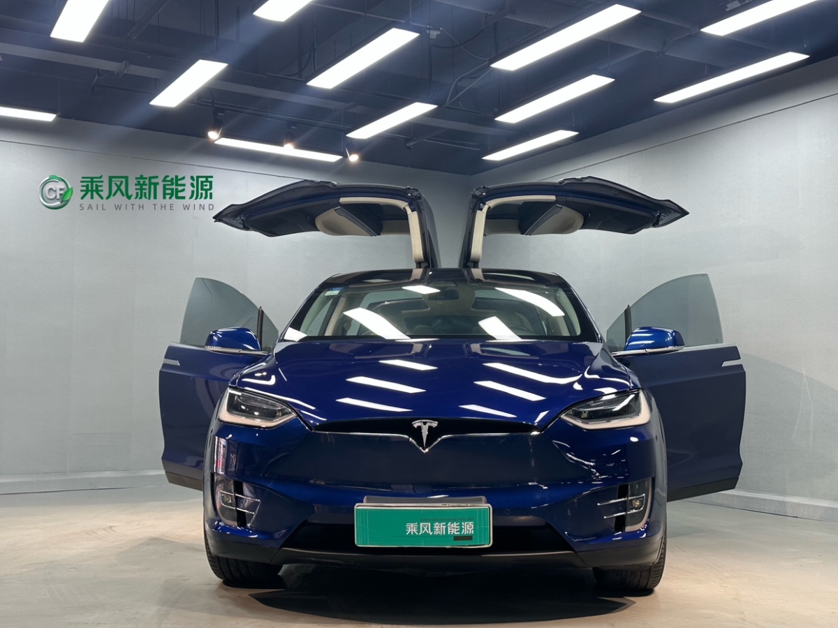 特斯拉 Model X  2016款 Model X 75D圖片