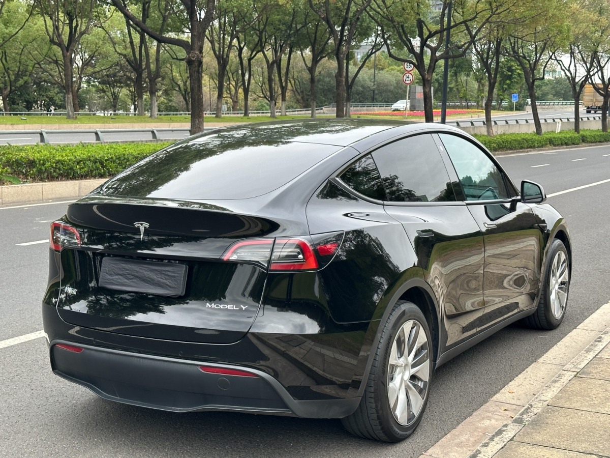 特斯拉 Model Y 長(zhǎng)續(xù)航全輪驅(qū)動(dòng)版圖片