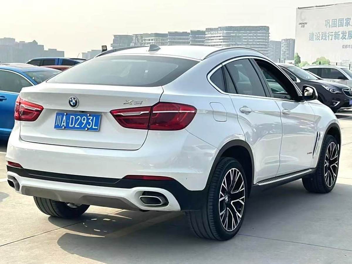 寶馬 寶馬X6  2018款 xDrive35i 領(lǐng)先型圖片