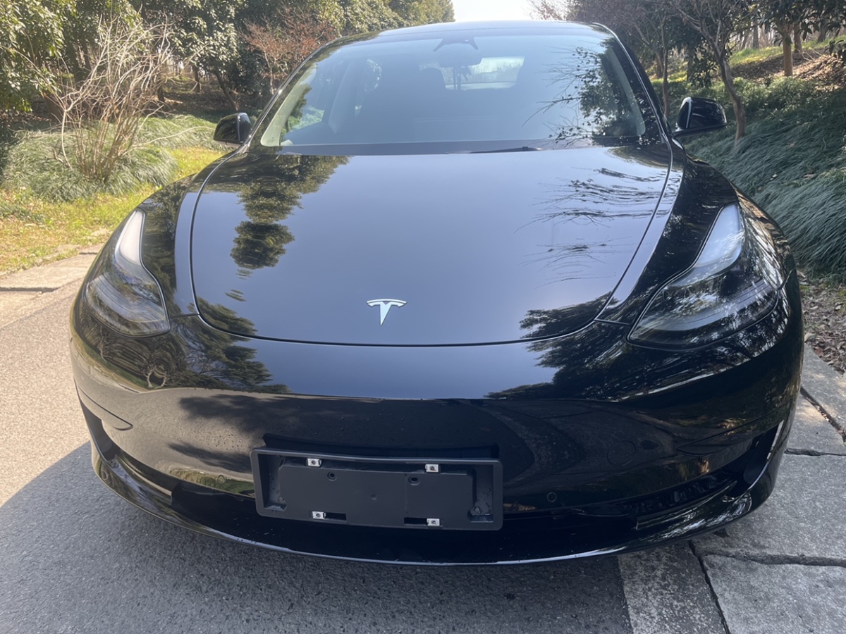 2023年3月比亞迪 L3 特斯拉Model3