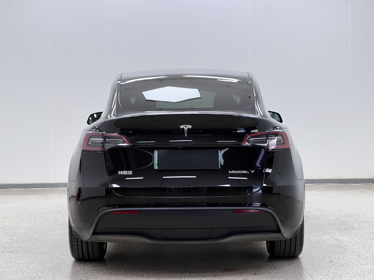 特斯拉 Model Y  2022款 后輪驅(qū)動版圖片