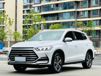 2023年3月 比亞迪 宋Pro新能源 DM-i 51km 豪華型圖片