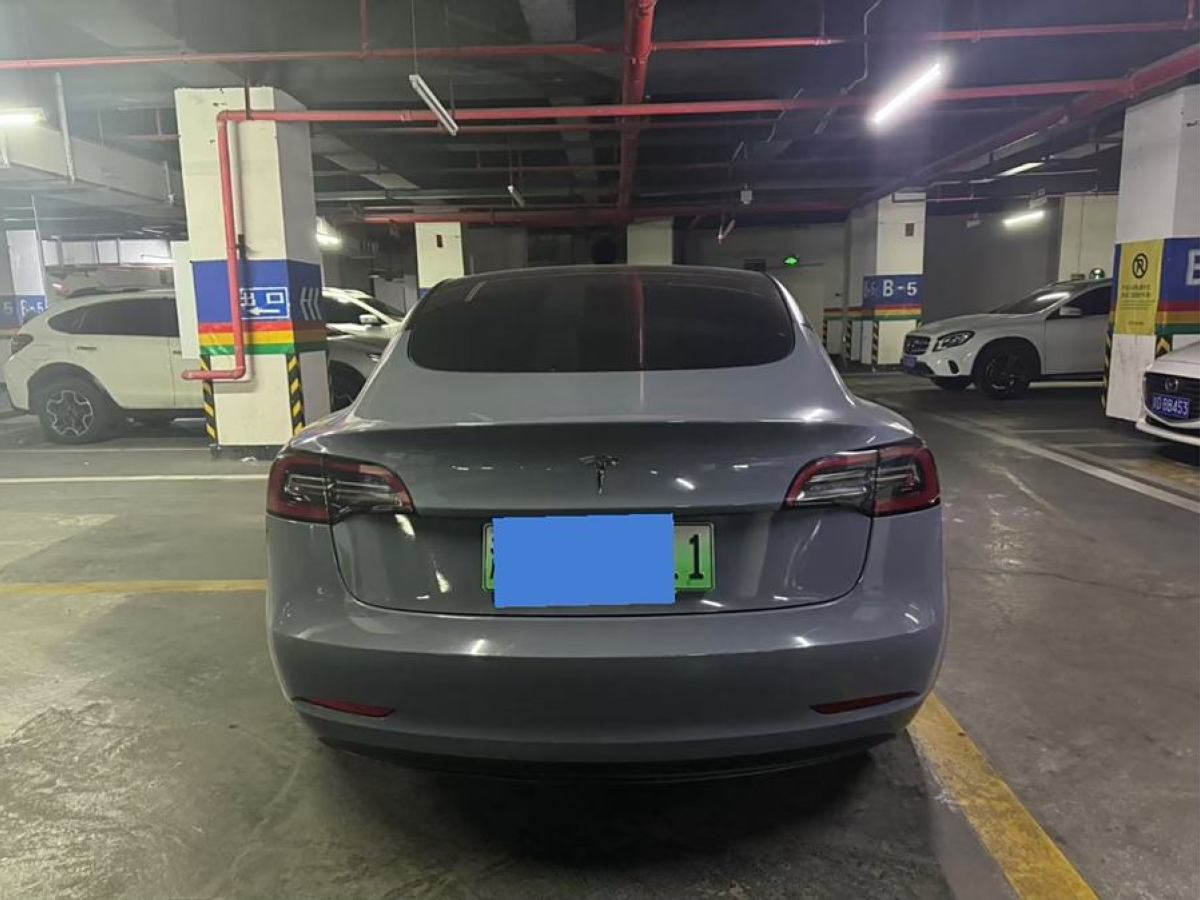 特斯拉 Model 3  2021款 改款 標(biāo)準(zhǔn)續(xù)航后驅(qū)升級版圖片