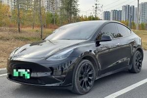 Model Y 特斯拉 改款 長續(xù)航全輪驅(qū)動版