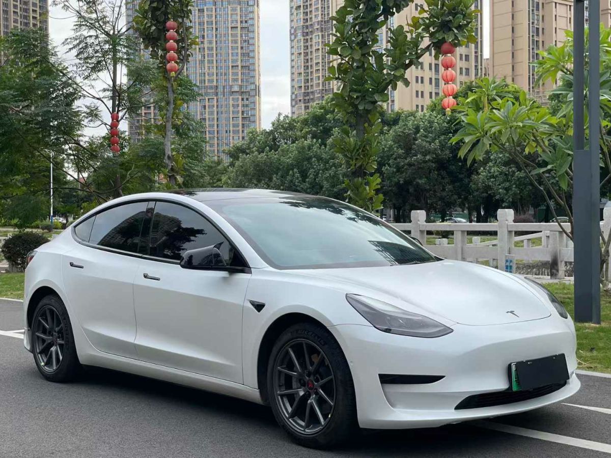 特斯拉 Model S  2021款 Performance 高性能版圖片