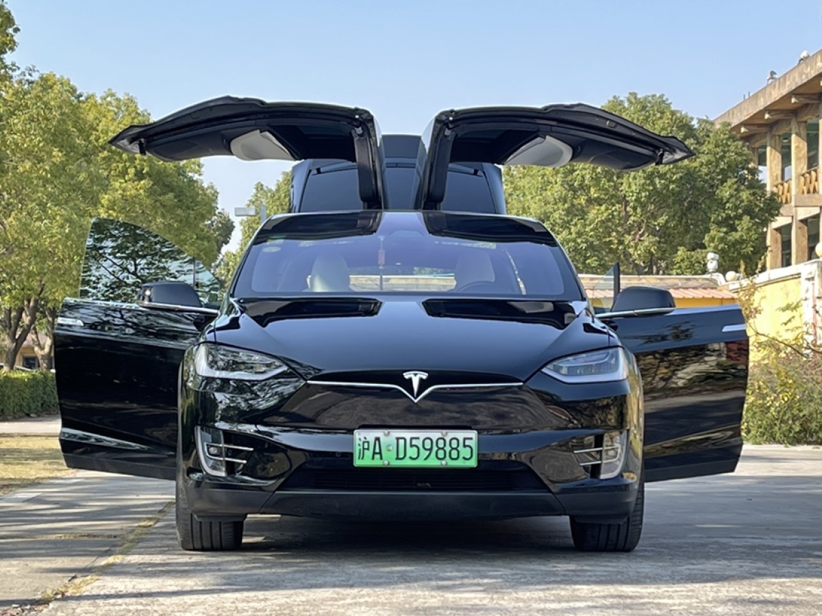 特斯拉 model x 2019款 標準續航版圖片