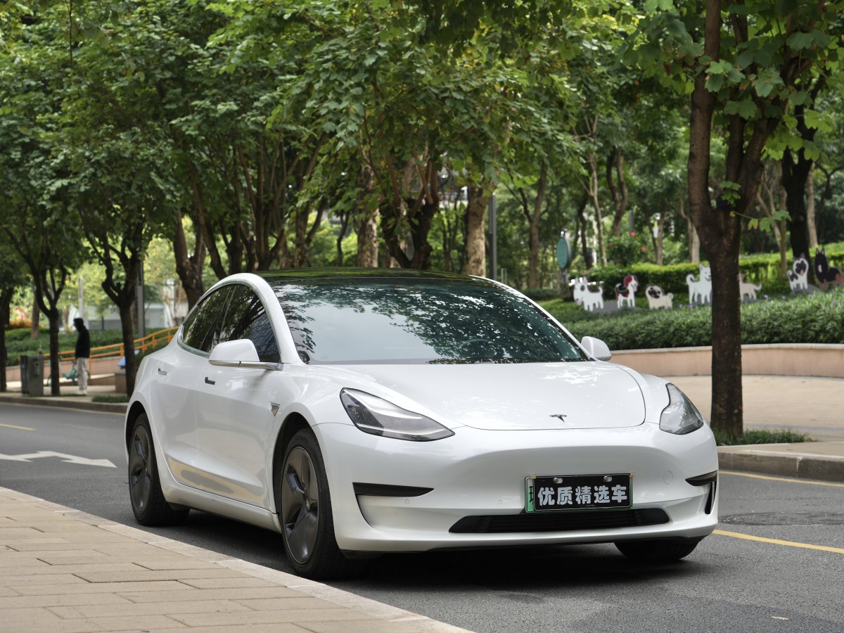 特斯拉 Model 3  2020款 改款 標準續(xù)航后驅升級版圖片