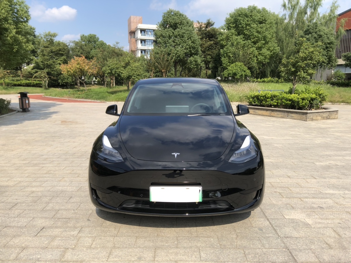 特斯拉 Model 3  2022款 后輪驅(qū)動版圖片