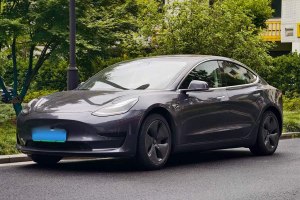 Model 3 特斯拉 改款 標(biāo)準(zhǔn)續(xù)航后驅(qū)升級版