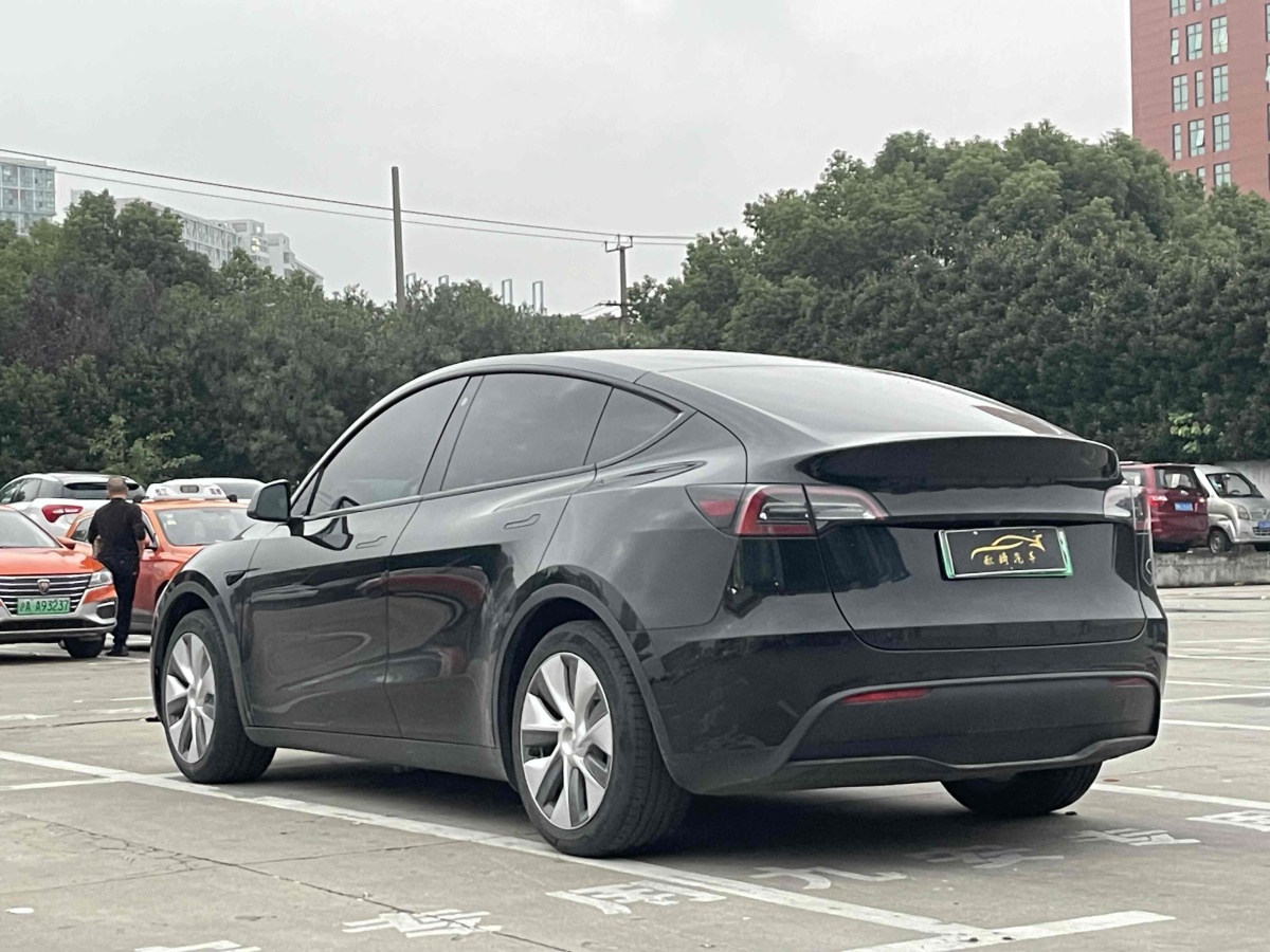 特斯拉 Model 3  2020款 改款 長續(xù)航后輪驅(qū)動版圖片