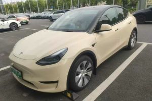 Model Y 特斯拉 后驅(qū)版