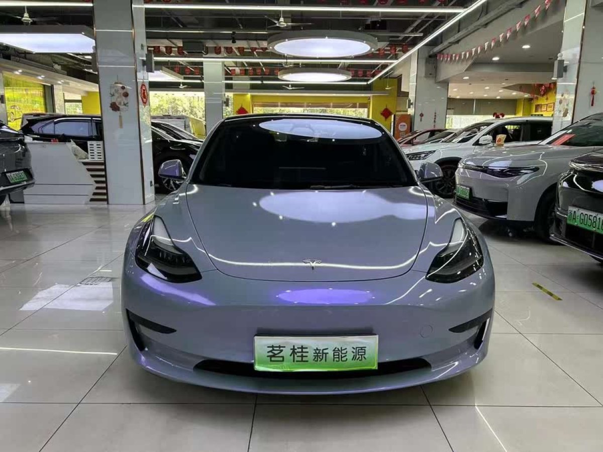 特斯拉 Model 3  2022款 后輪驅(qū)動版圖片
