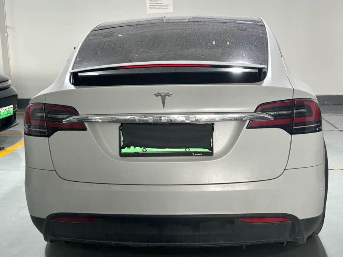 特斯拉 Model X  2019款 長續(xù)航版圖片