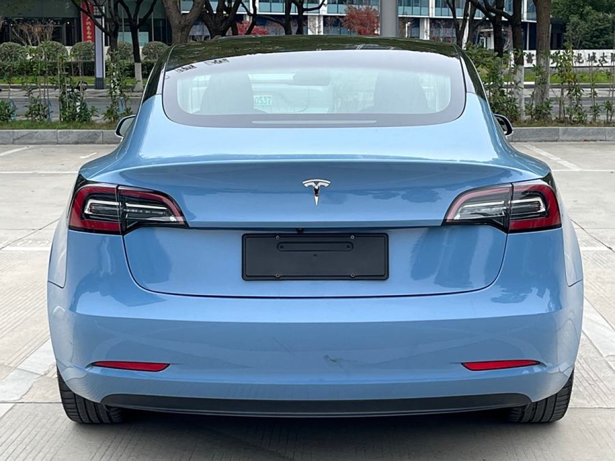 特斯拉 Model 3  2019款 標(biāo)準(zhǔn)續(xù)航后驅(qū)升級版圖片