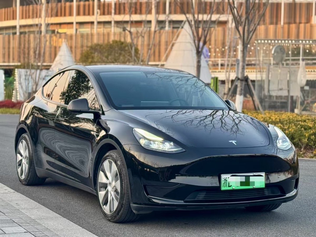 特斯拉 Model 3  2022款 后輪驅(qū)動(dòng)版圖片