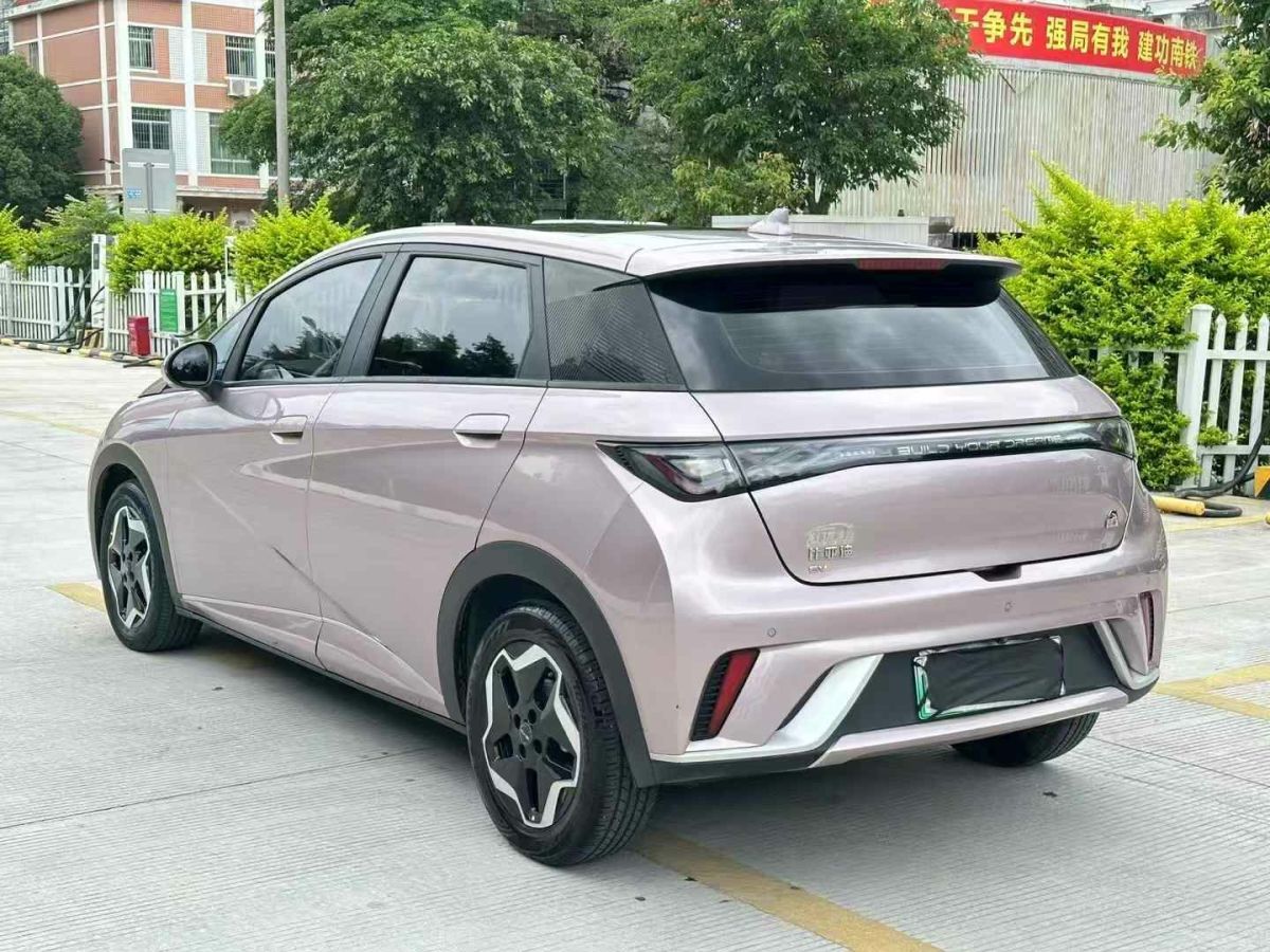 比亞迪 海豚 圖片
