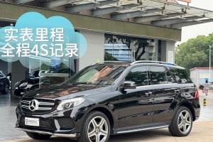 奔馳GLE 奔馳 GLE 320 4MATIC 豪華型臻藏版