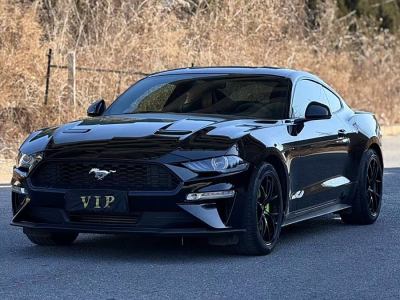 2019年3月 福特 Mustang(進(jìn)口) 2.3L EcoBoost圖片