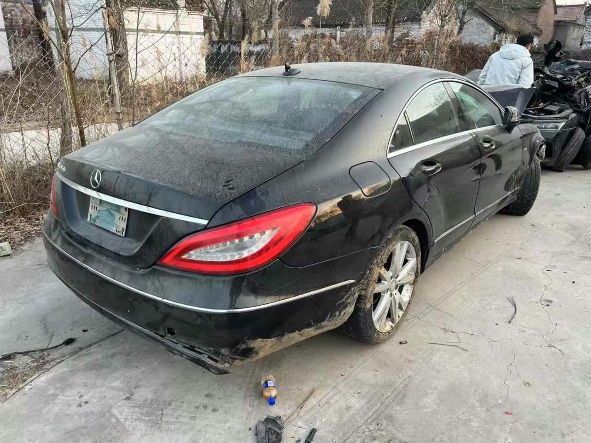 奔馳 奔馳CLS級(jí)  2012款 CLS 300 CGI圖片