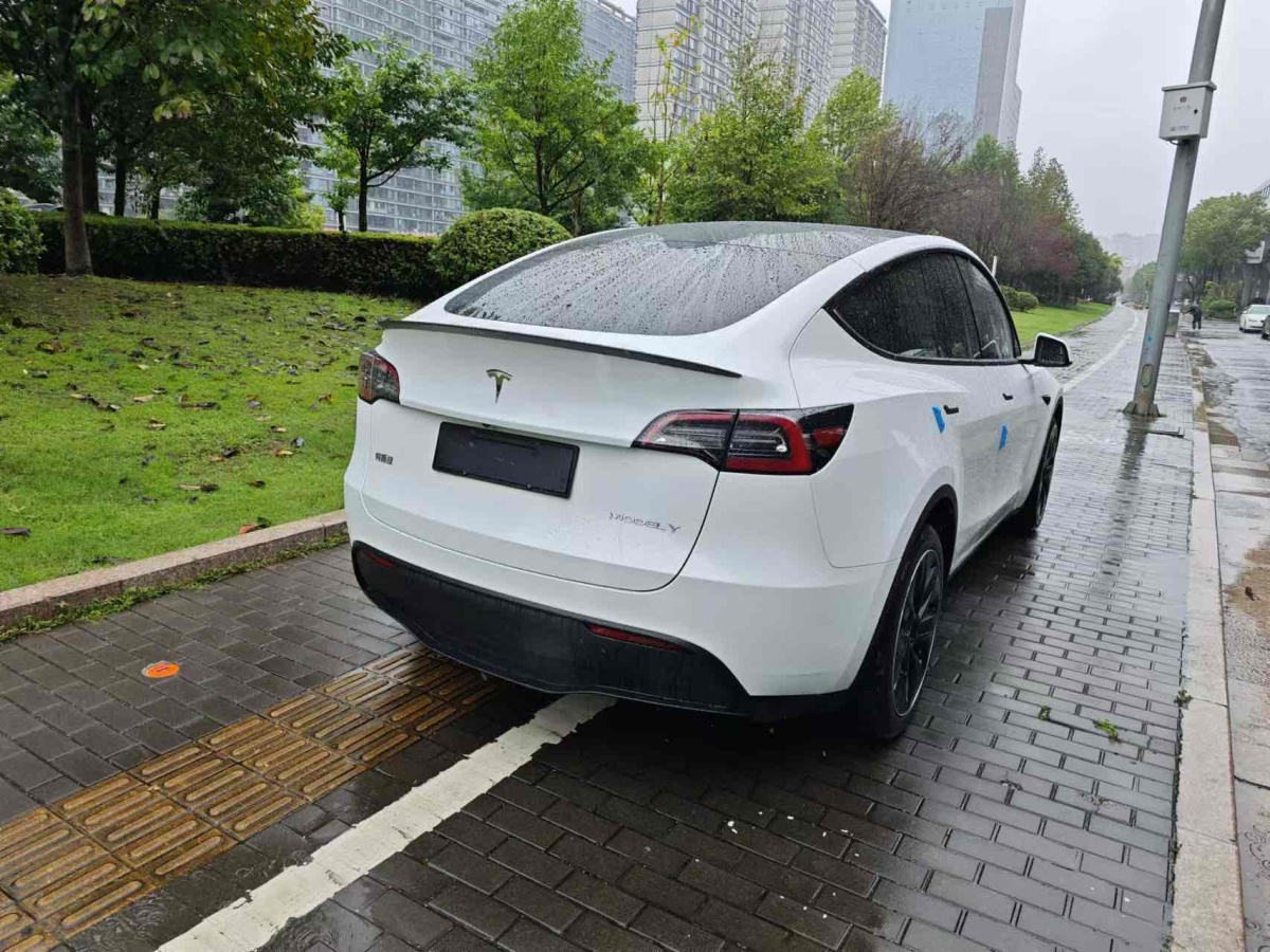 特斯拉 Model Y  2020款 改款 長(zhǎng)續(xù)航后輪驅(qū)動(dòng)版圖片