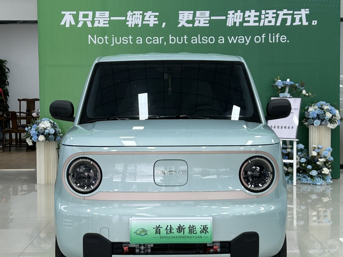 吉利 熊猫mini  2023款 200km 耐力熊图片