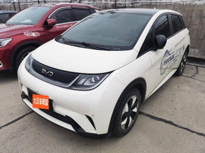 2024年3月 比亞迪 海豚 榮耀版 420km 時(shí)尚版圖片