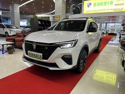 2021年6月 榮威 RX5新能源 ePLUS 國潮榮麟豪華版圖片