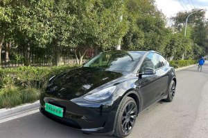 Model Y 特斯拉 改款 长续航后轮驱动版