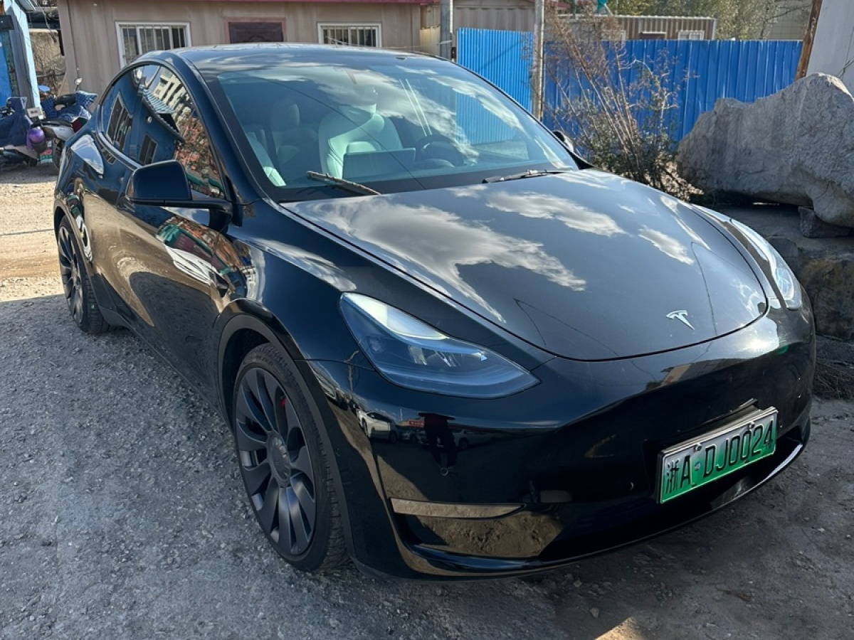 特斯拉 Model Y  2022款 Performance高性能全輪驅(qū)動(dòng)版圖片