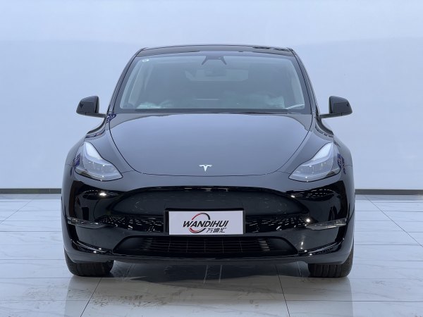 特斯拉 Model Y  2022款 Performance高性能全轮驱动版