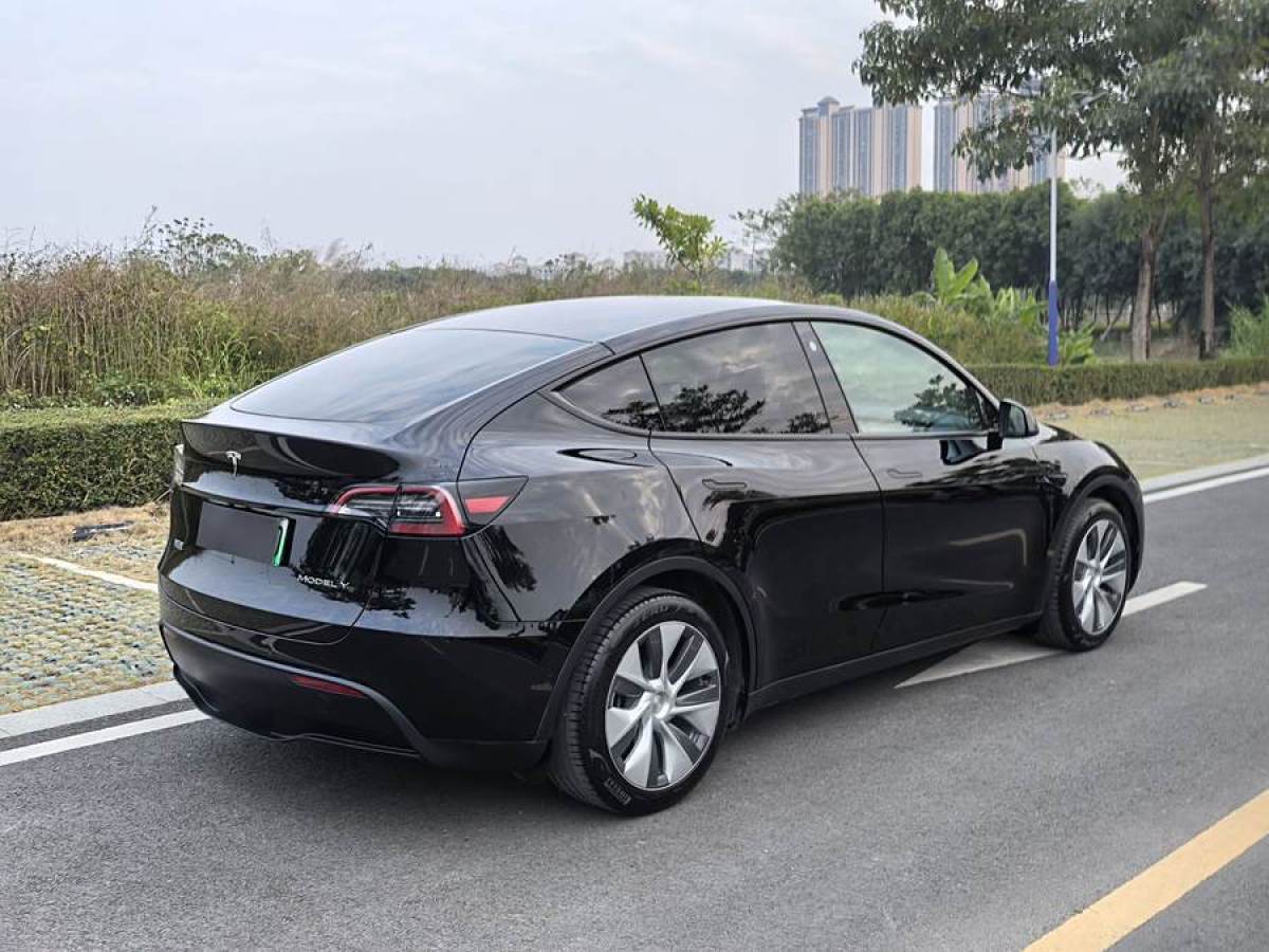 特斯拉 Model 3  2020款 改款 長(zhǎng)續(xù)航后輪驅(qū)動(dòng)版圖片